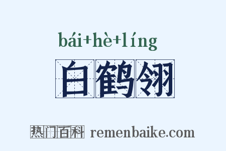 白鹤翎是什么意思的图片